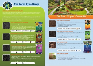Earth Cycle Inside